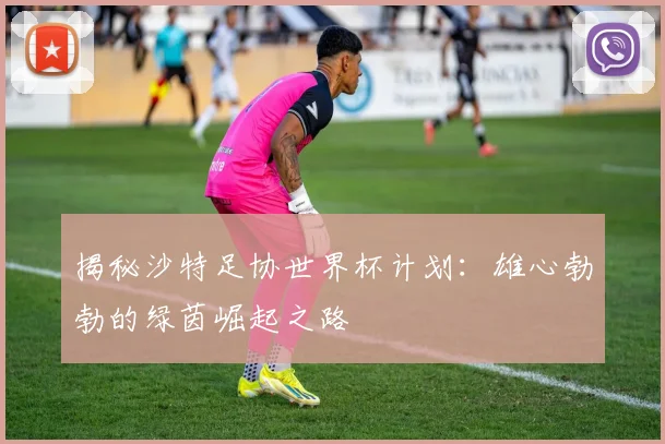 揭秘沙特足协世界杯计划:雄心勃勃的绿茵崛起之路