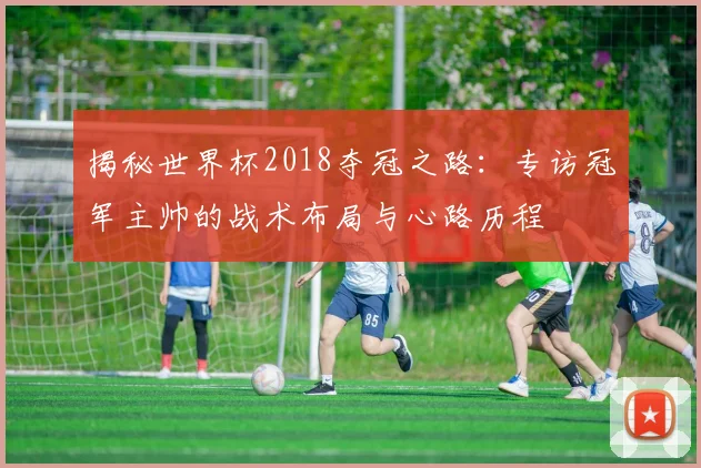 揭秘世界杯2018夺冠之路：专访冠军主帅的战术布局与心路历程