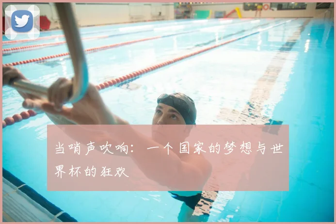 当哨声吹响:一个国家的梦想与世界杯的狂欢