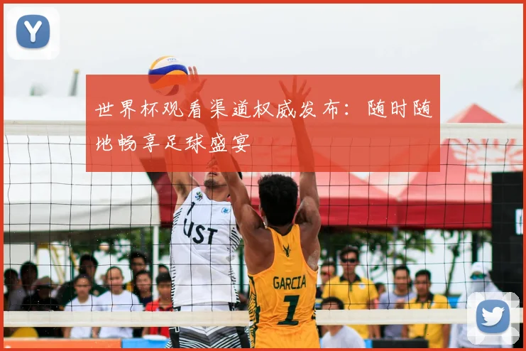 世界杯观看渠道权威发布：随时随地畅享足球盛宴