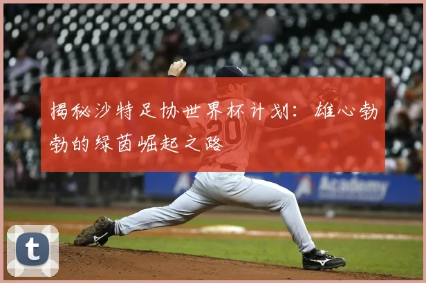 揭秘沙特足协世界杯计划:雄心勃勃的绿茵崛起之路