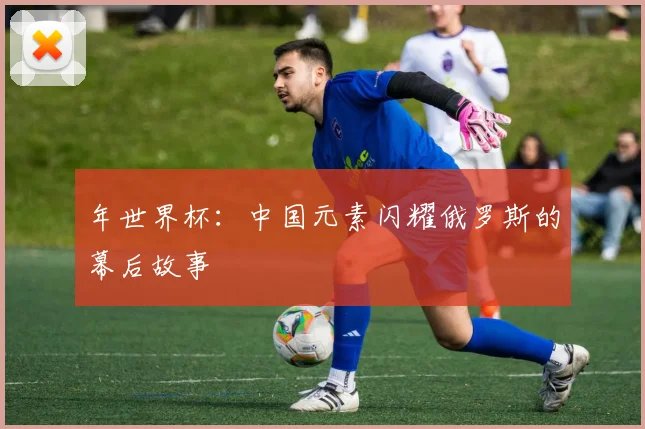 年世界杯：中国元素闪耀俄罗斯的幕后故事