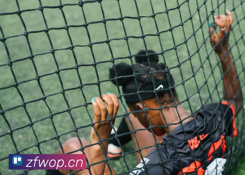 米兰app官网登录入口APP 封面图